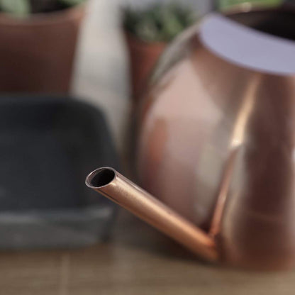 Chemlliy Watering Can with Long Spout and Comfortable Handle, 35 oz/1000ml Small Watering Can for Indoor Plants, Stainless Steel Garden Watering Pot for Indoor House Plants Bonsai Flower Decorative