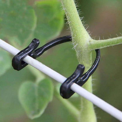 HiSpkNix 300PCS Grape Vine Trellis Clips - Compatible with Raspberry Canes, Kiwi, Grapevines, Plant Support Ties, Garden Training Buckles & Hooks