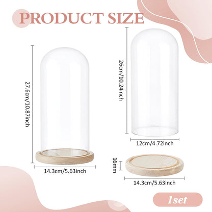 PH PandaHall Glass Cloche Display Dome 5.6x10.9inch Bell Jar Cover with Wooden Base Clear Terrarium Display Case Cloche Bottles Storage Decorative Centerpiece Stand for Flowers Succulent Home Decor