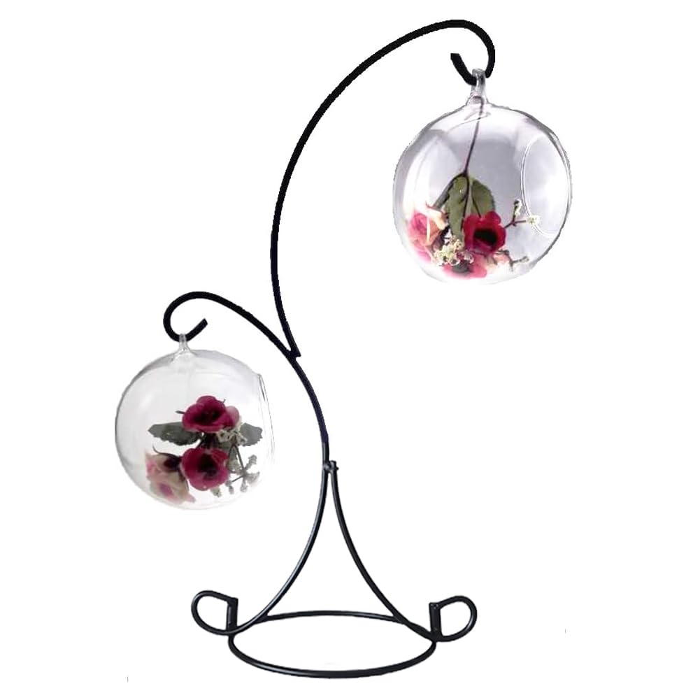 Ornament Display Stand Iron Pothook Stand for Hanging Glass Terrarium/Picture (Double-Hook, Black)