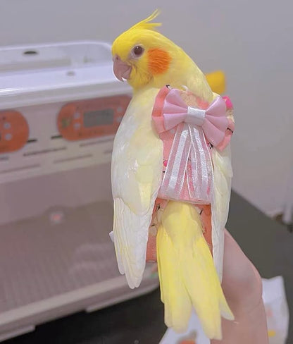 Bird Flight Suits Diapers, Parrot Diapers for Monk Parakeets, Cockatiels Flight Suits, Parrot Clothes, Bird Training Nappy Suit Liners Clothes (Medium, Light Pink)