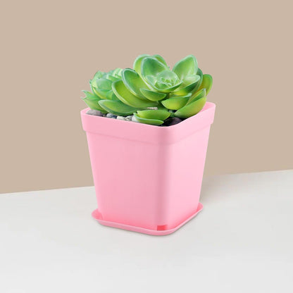 HOIGON 100 Pack 2.75 Inch Pink Square Nursery Pot, 7cm Thickened Plastic Nursery Pots with Drain Holes Trays, Small Square Planting Containers Bulk Set for Seedling Flower Tomatoes Basil