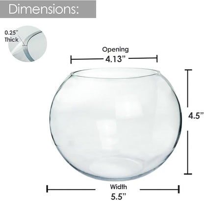 Glass Bubble Vase, 4.5" Height x 6" Width, Set of 6 Glass Fish Bowl Vase, Bubble Bowl vase for Terrarium, Flower Vase Centerpiece