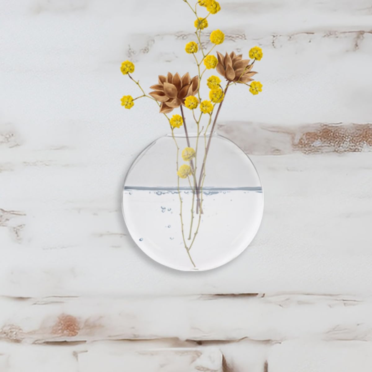 VALICLUD 2pcs Wall Hanging Glass Planter Terrariums Hydroponic Flower Vases for Indoor Plants Home Office Décor