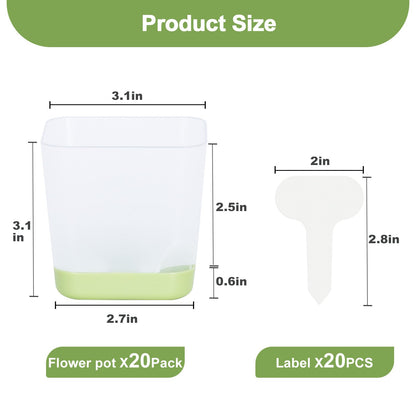 Oliz 20 Pack 3 Inch Plastic Succulent Pots with Drainage Holes & Saucers, Square Nursery Planters for Indoor Outdoor Plants, Half Clear Flower Pots