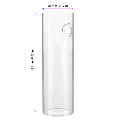 JEUIHAU 6 PCS Glass Wall Mounted Planters, Wall Glass Tube Plant Holder, Plant Propagation Containers for Hydroponics Plants, Garden Decor
