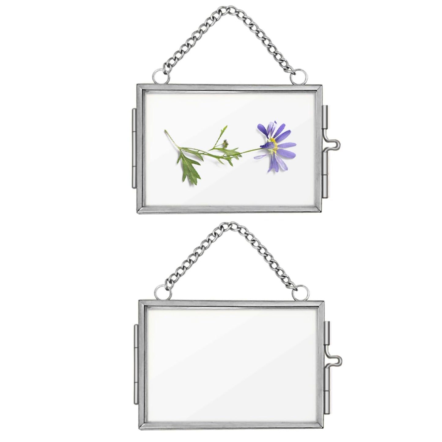2Pcs Double Glass Frame for Pressed Flowers, 2x3 inch Picture Frame Mini Brass Wall Hanging Photo Frames Floating Frame with Chain for Plant Specimen Artwork Display Home Wall Decor (Silver, Horizontal)