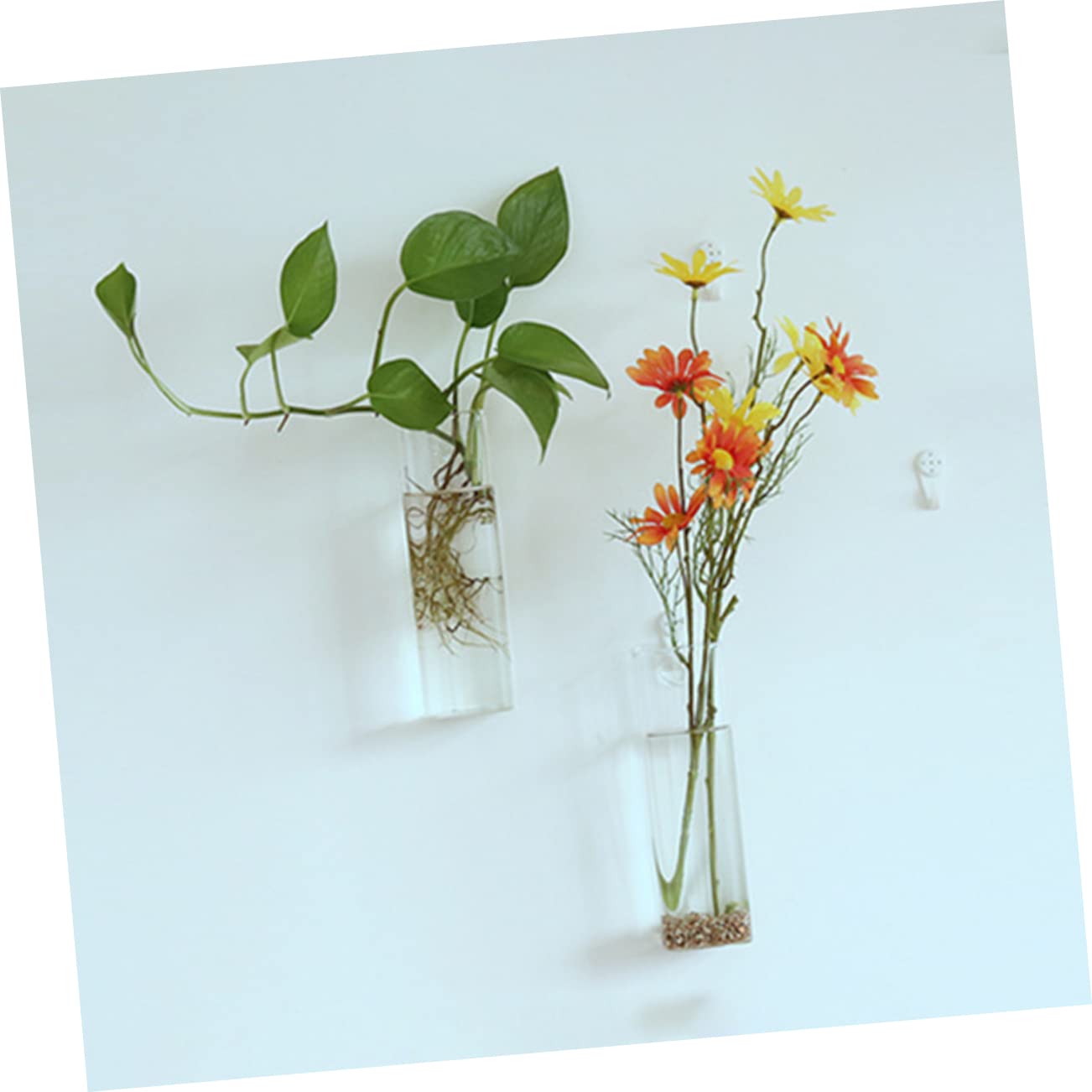 POPETPOP Creative Hanging Glass Vase for Wall Unique Terrarium Planter for Home Decor for Indoor Plants Living Room and Bedroom Aesthetics