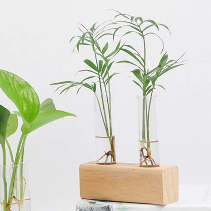 Zerodis Vases Pot Elegant Hydroponic Plant Vase Terrarium Container Home Decor with Wooden Rack for Succulents Miniature Shrubs Ferns Glass Test Tube Flower