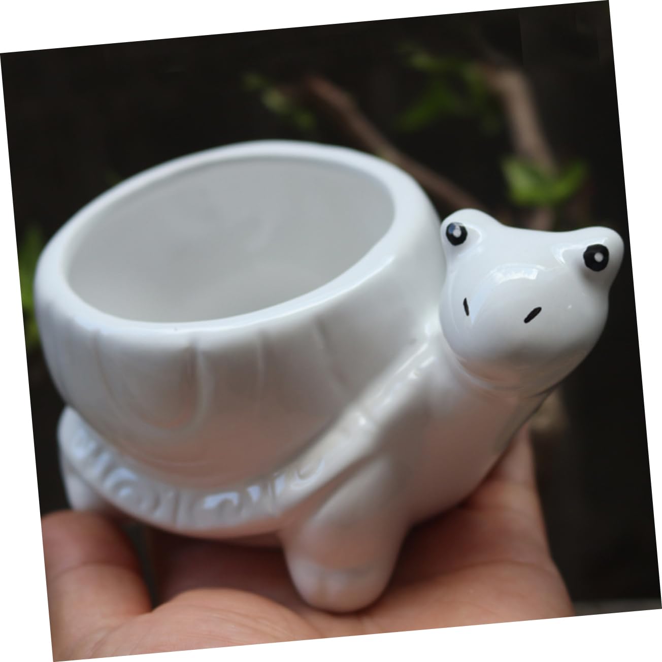 Ciieeo Ceramic Turtle Succulent Planter Pot Cute Cartoon Flower Container for Plants for Home Office Desk Decor Vibrant Garden Decoration