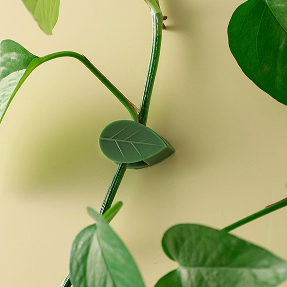 100PCS Plant Climbing Wall Fixture Clips, Plastic Plant Clips Climbing Plant Wall Clips for Vines, Plant Support Clips Plant Vine Wall Clips Plant Fixture Clips Vine Holder for Indoor Plants (B#Green)