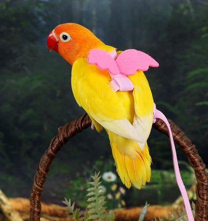 3pcs Parrot Flying Harness Leash Suit Pet Bird Outdoor Flight Training Rope Cockatiel Supplies Macaw Accessories Stuff for Budgie
