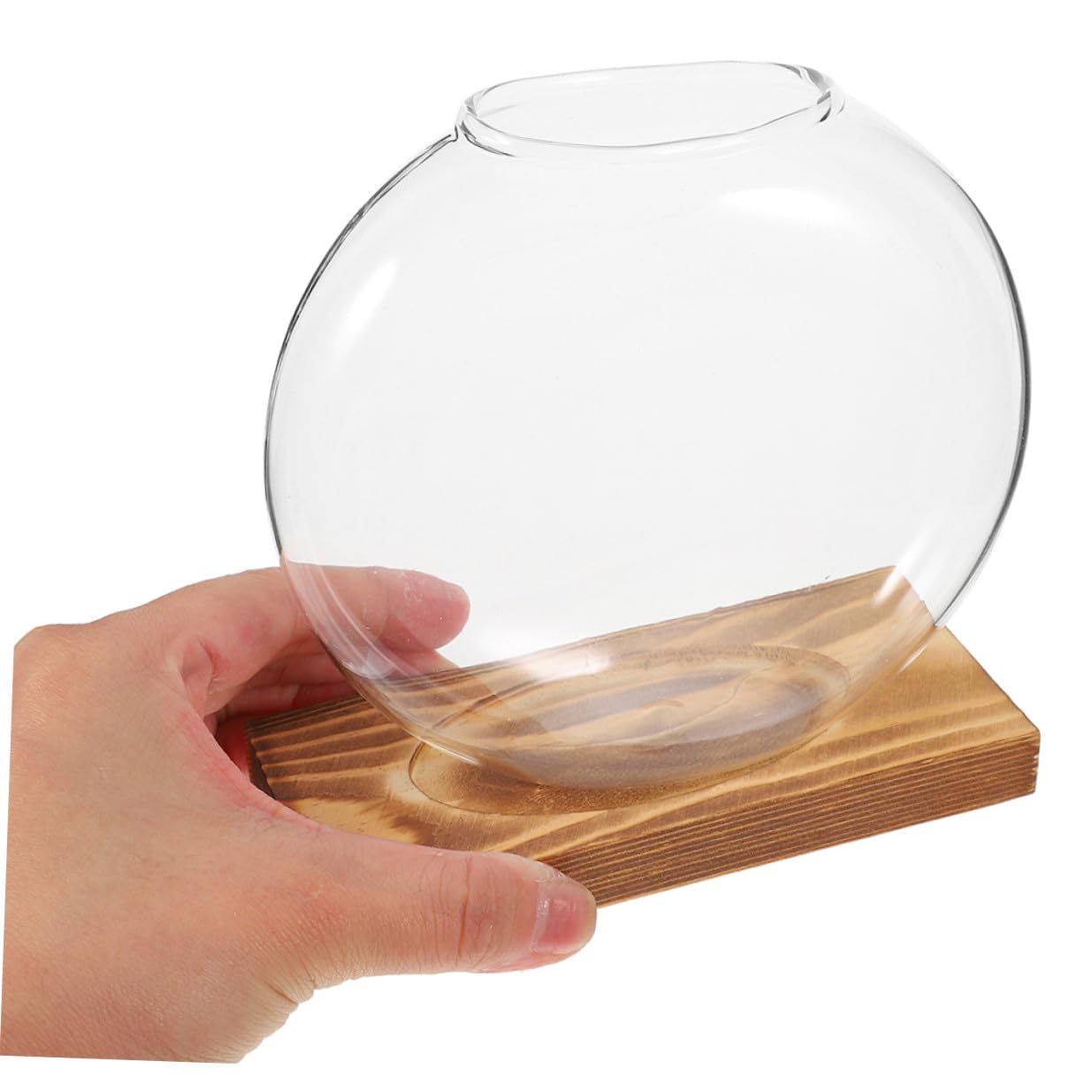 NULYLU 2Pcs Glass Plant Propagation Vases with Wooden Base, Hydroponic Terrarium Containers for Indoor Plants, Desktop Flower Vase Decor for Home and Office