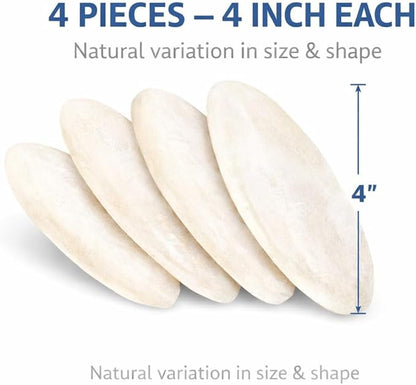 Birds LOVE 3.5-4″ Cuttlebone for Birds – 100% Natural Sun-Dried Calcium & Beak Conditioning Supplement for Parakeets, Budgies, Cockatiels, Finches & Canaries – 4 Pack with Holder – Made in Vietnam