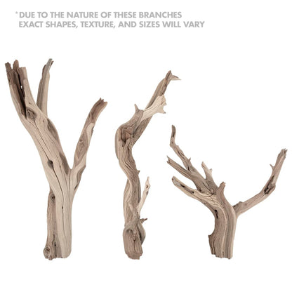 Koyal Wholesale 12” Driftwood Terrarium Decor, Clean California Manzanita Drift Wood Reptile Decor, Driftwood Decor for Home, Desert Reptile Supplies