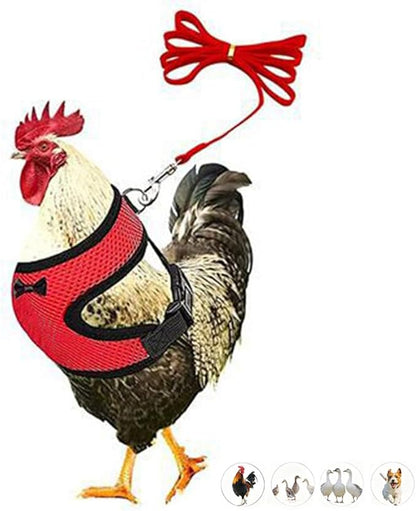 Chicken Harness and Leash Set Adjustable Mesh Breathable Duck Training Harness Pets Leashs for Goose Hen Rooster Parrots Dog Kitten, Red S