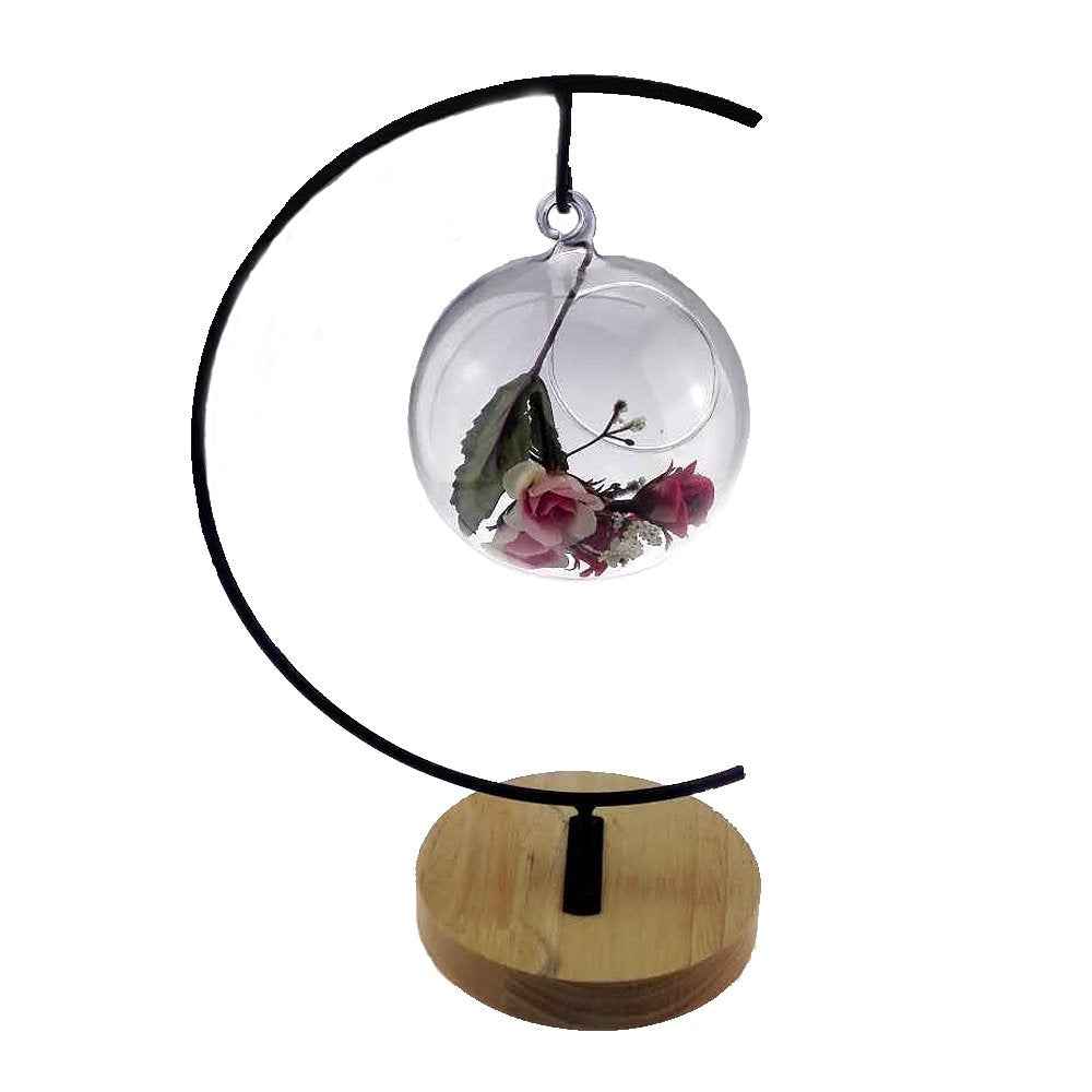 Archi Ornament Display Stand Air Plant Stand Flower Pot Stand Holder Iron Pothook Stand for Hanging Glass Terrarium(2 pcs)