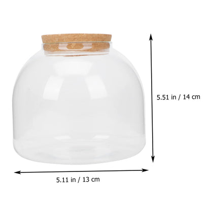 VANZACK 1set Glass Terrarium Container for Microlandscape Decor Transparent Bottle for Indoor and Outdoor Creative Plant Displays for Use