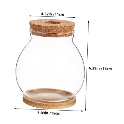 Kisangel Hydroponic Glass Vase Wooden Base for Indoor Plant Propagation Desktop Terrarium for Flower Arrangements and Root Growth Display