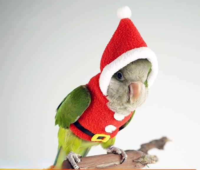Bird Clothes Birds Flight Suit, Christmas Hoodie for Parrots Cockatiel Sun Conure Christmas Party Cosplay Photo Prop Bird Small Animals Apparel (Without Diaper,Green-cheeked Conure) Red