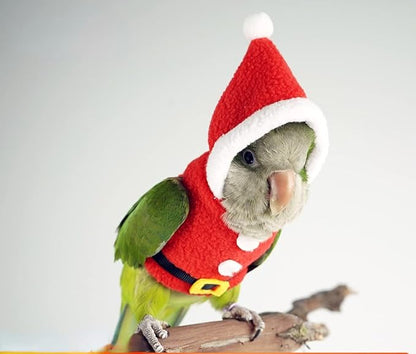 Bird Clothes Birds Flight Suit, Christmas Hoodie for Parrots Cockatiel Sun Conure Christmas Party Cosplay Photo Prop Bird Shirt Small Animals Apparel (with Diaper,Senegal)