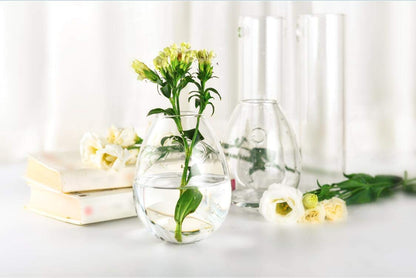 Kingbuy Wall Hanging Propagation Station Glass Plant Terrarium Container Egg Shape for Propagating Hydroponic Plants Home Office Garden Decor Wedding, 4 Pack