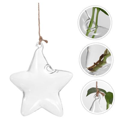 LIOOBO Terrarium Star Vase Elegant Hanging Planter for Home Office for Plant Lovers