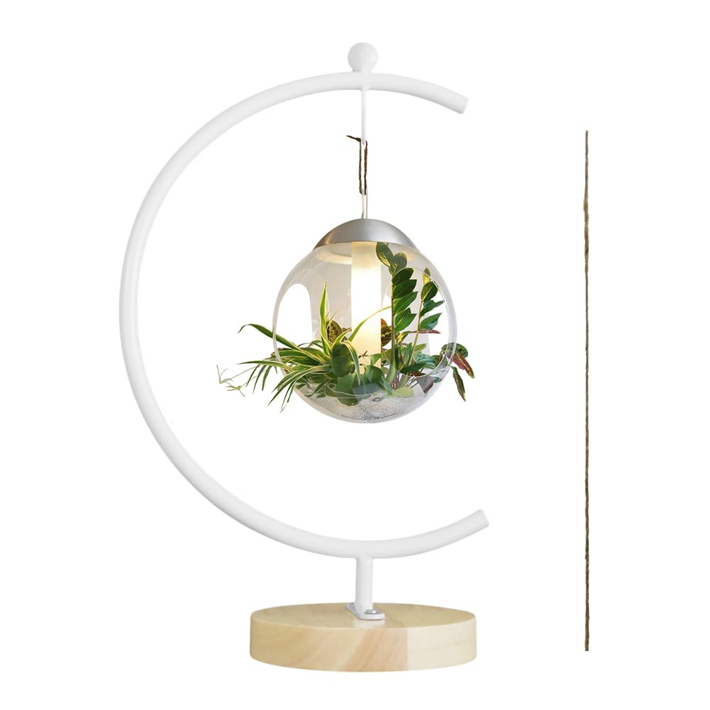YY YEARCHY Ornament Display Stand Large Metal Air Plant Flower Pot Holder Iron Pothook for Hanging Glass Terrarium Globe Ball