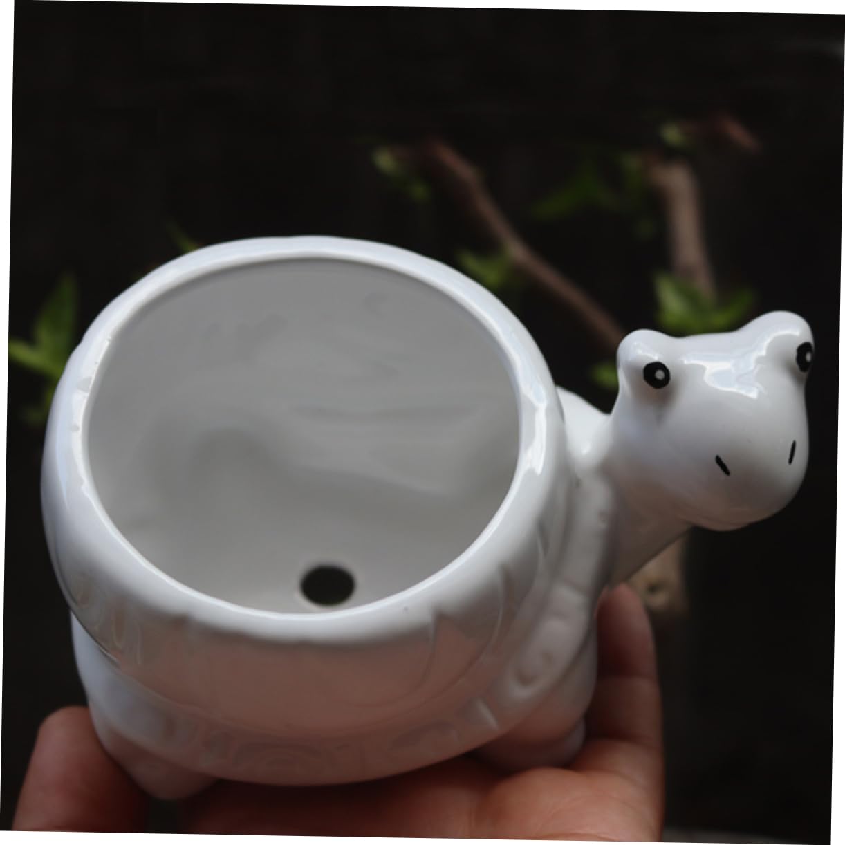 Ciieeo Ceramic Turtle Succulent Planter Pot Cute Cartoon Flower Container for Plants for Home Office Desk Decor Vibrant Garden Decoration