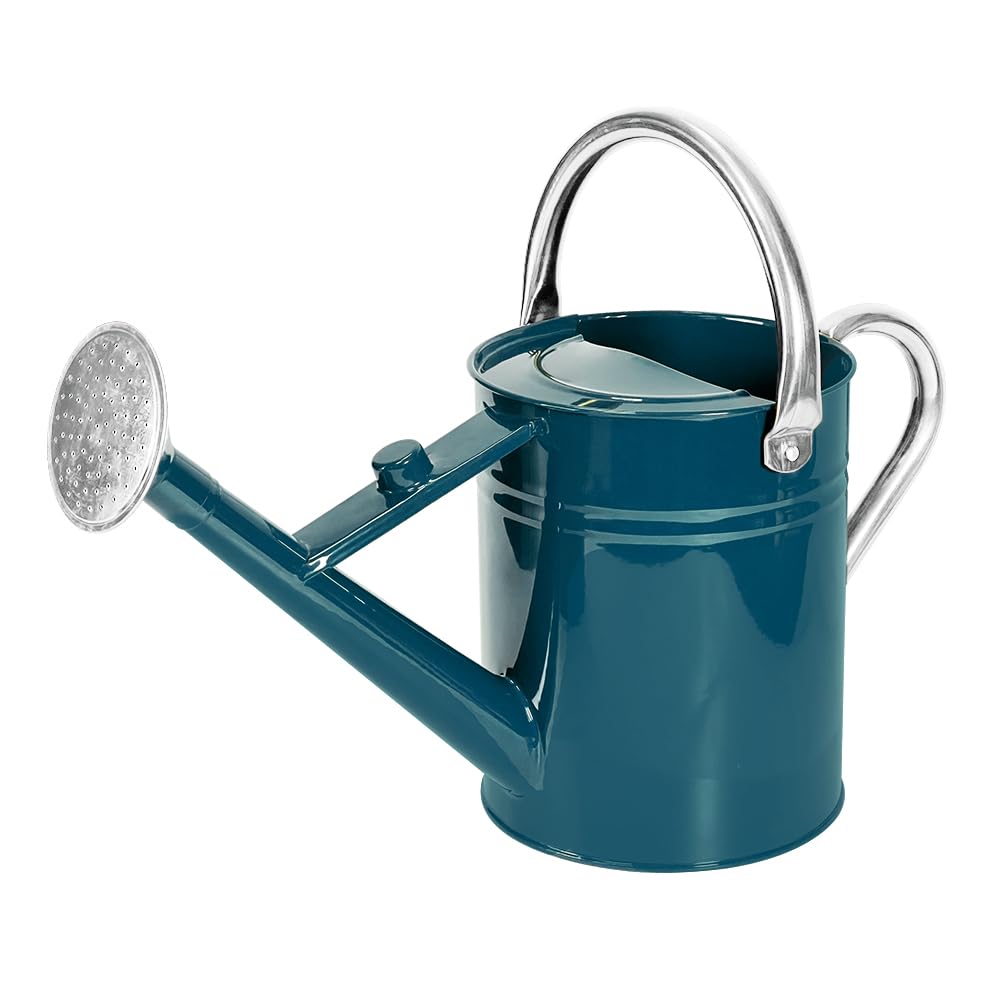 1 Gallon Metal Watering Can with Removable Spout, Nice Galvanized Steel Water Can for Indoor and Outdoor Plants (Ocean Blue)