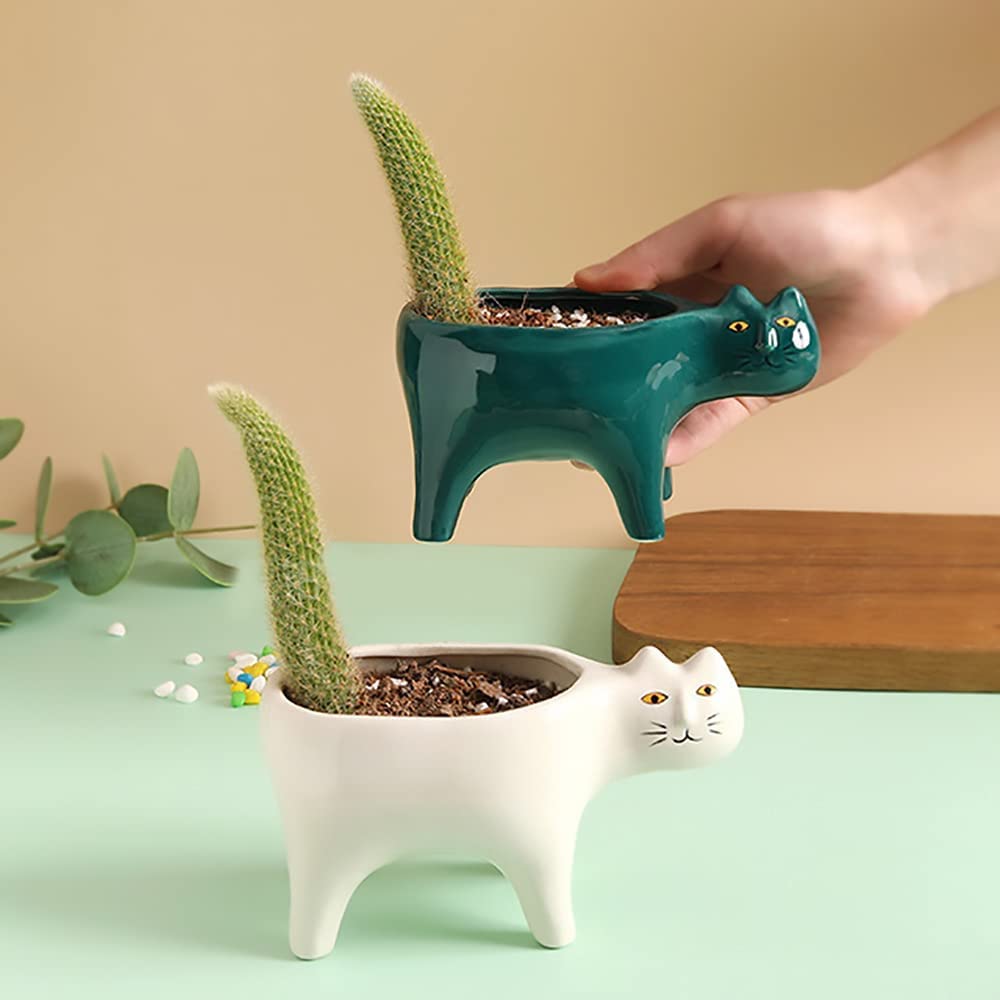 DIYOMR Cat Planter Animal Succulent Pots, Ceramic Cat Mini Flower Pots Cactus/Plants Containers for Home Office Desk Windowsill Decor, Plants Not Included (2Pcs)