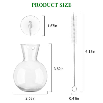 Doodlream 12PCS Wall Hanging Propagation Stations, Glass Planting Vases with Suction Cups and Cleaning Brush, Window Hanging Hydroponic Plant Terrariums for Pothos Ivy Herbs, Indoor Home Garden Decor