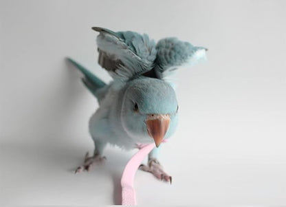 Pet Parrot Bird Harness Leash Adjustable Bird Flying Harness Traction Rope with Cute for Parrots Budgerigar Lovebird Cockatiel Mynah Outdoor Training Toy (Mannikin/Finch,Pink)