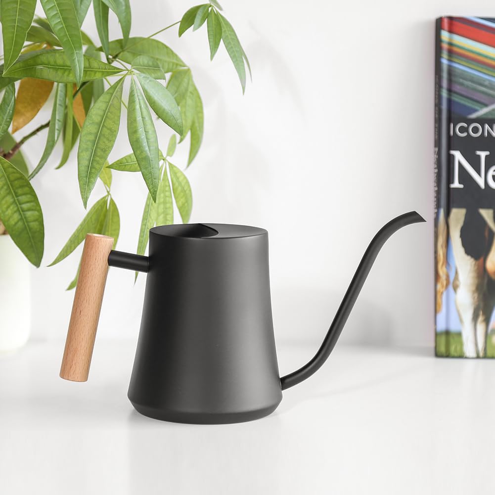 Epalace Indoor Watering Can Stainless Steel Watering Can for Indoor Plants with Long Spout, 35oz/1L