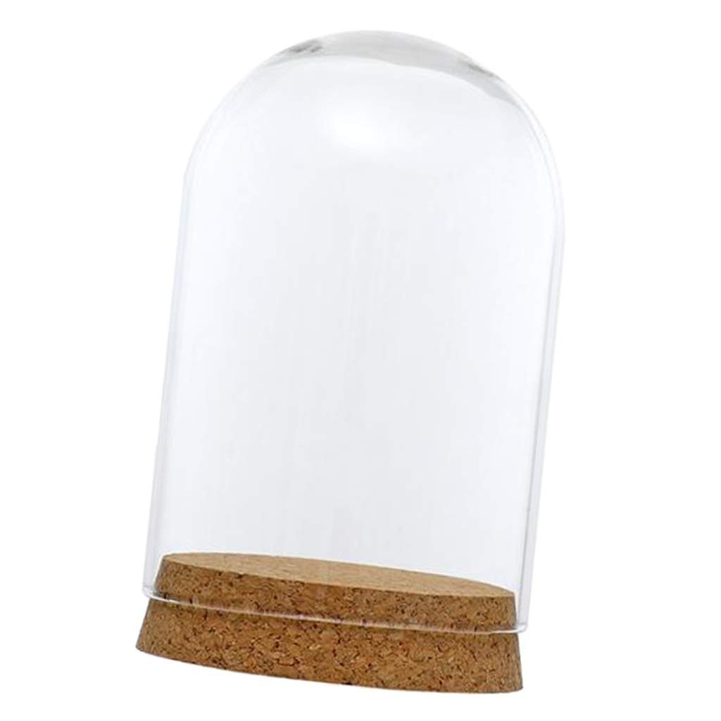 FLAMEER 10Pieces 8x12cm Clear Glass Dome Cover Cloche Bell Jar Succulent Terrariums w/Wooden Cork Base Home Study Room Decor