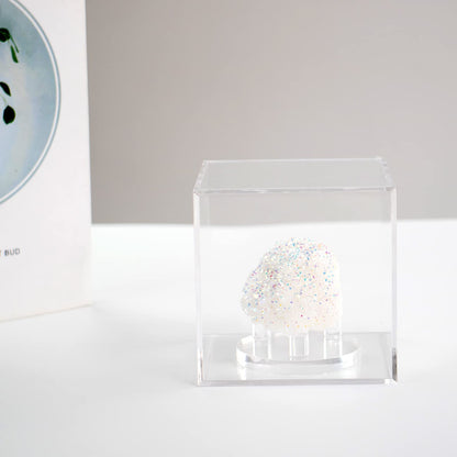 Kcgani 3 Pegs Round Display Easel Stands with Transparent Acrylic Box, Multiple Decoration Storage Case, Small Items Stands for Displaying Collectible Stone Rock Mineral Geodes (Medium-4x4x4in, 1Pcs)