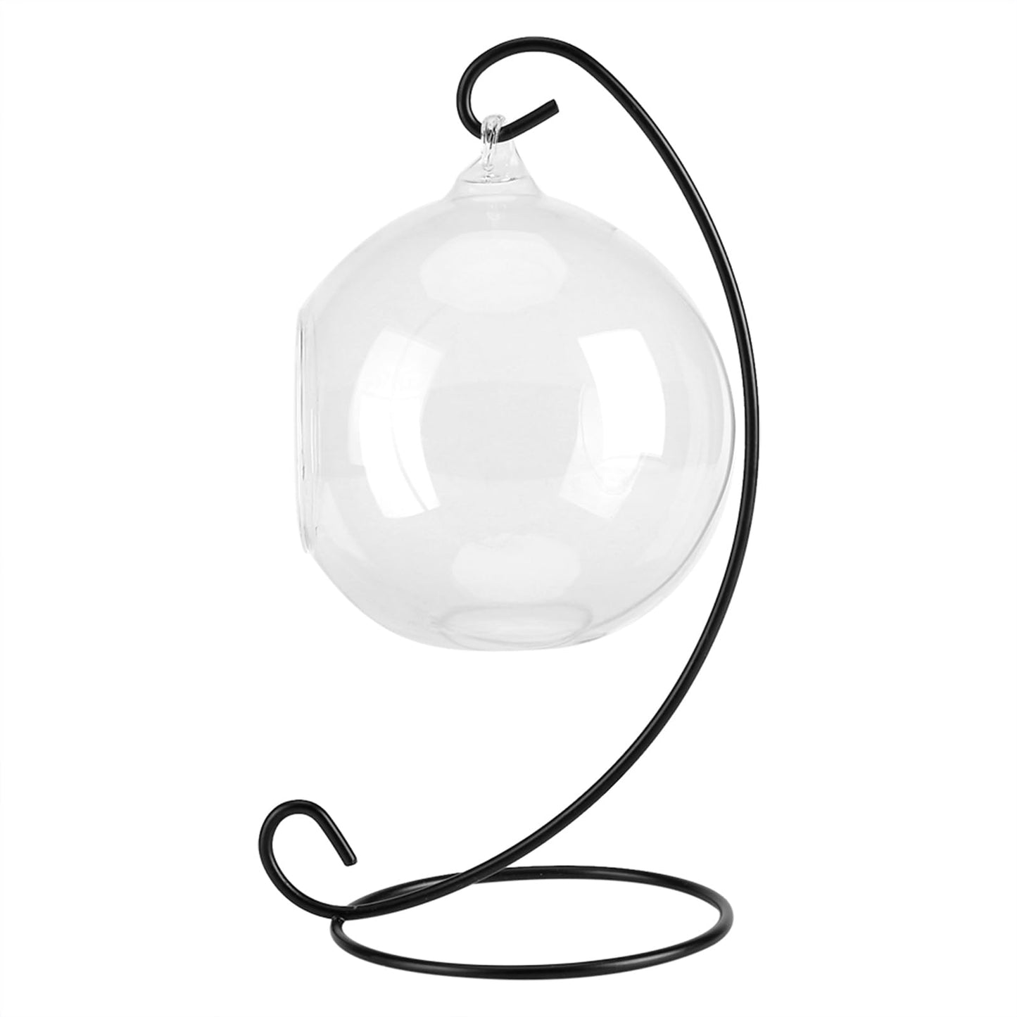 Vistreck Elegant Hanging Glass Vase Terrarium with Iron Frame for Air Plants and Succulents