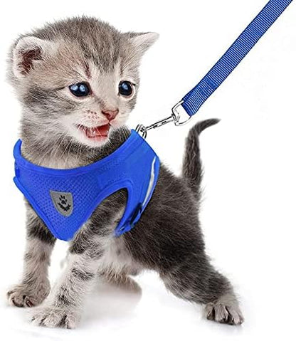 FEimaX Dog Harness and Leash Set for Walking, Soft Mesh Adjustable Easy Control Lightweight Cat Vest Harnesses with Reflective Strips, Escape Proof Small Dogs Cats Vests (Blue, X-Large)