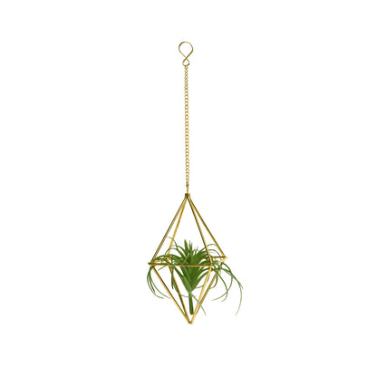 libproqia Air Plants Holders Hanging Airplants Hangers Himmeli Metal Wire 4Pcs Geometric Display Airfens Planter Frame 2 Sizes Tillandsia Holder with Chain and Hooks Decor for Home Office