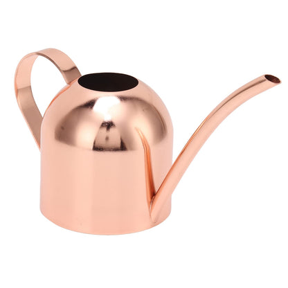 Phefop Watering Can, Stainless Steel, Large Capacity for Indoor Outdoor Plants, 1 Gallon Mini Can for Bonsai and Houseplants