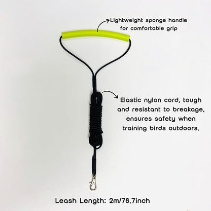 Adjustable Bird Harness with Elastic Leash, Pet Parrot Harness and Leash, Adjustable Training Design Anti-Bite, Bird Nylon Rope with Cute Wing for Conure (Purple,XXL)