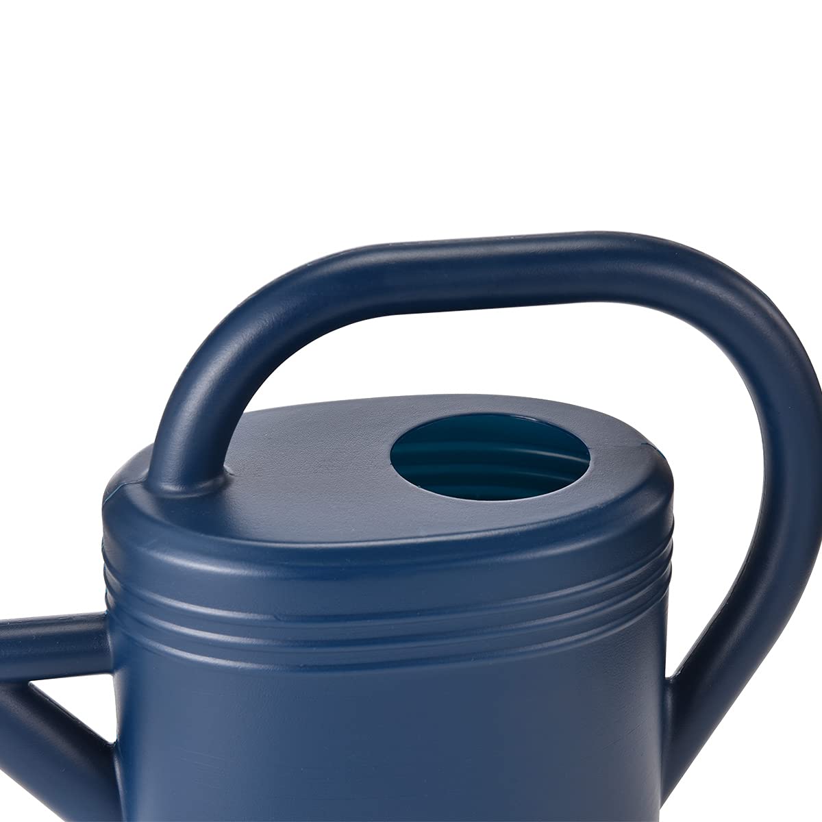 Watering Can 1 Gallon for Indoor Plants, Garden, Outdoor Plant House Flower, Gallon Large Long Spout with Sprinkler Head (Blue)