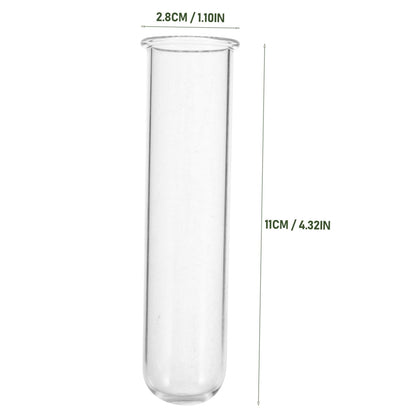 Toddmomy 5pcs Glass Test Tube Vase for Air Plants Live Houseplants Propagation Station Terrarium Plants