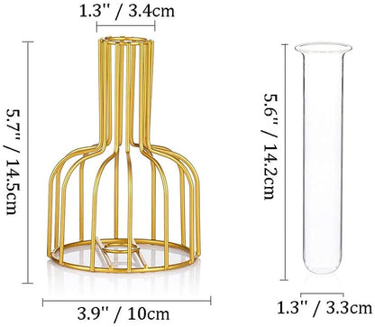 Ivymei 2 Pack Table Flower Vase,Gold Geometric Metal Frame Clear Glass Tube Bud Vase Hydroponic Plants,Gold Vase Decorative for Flower,Weddings,Centerpiece,Party,Home(Gold 8)