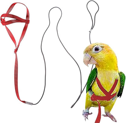 Adjustable Bird Harness and Leash,Anti-Escape Durable Nylon Parrot Harness, Flying Training Rope Parrot Leash for Small Medium Large Breed Parrots Fits Chest Under 24.4'', Purple L