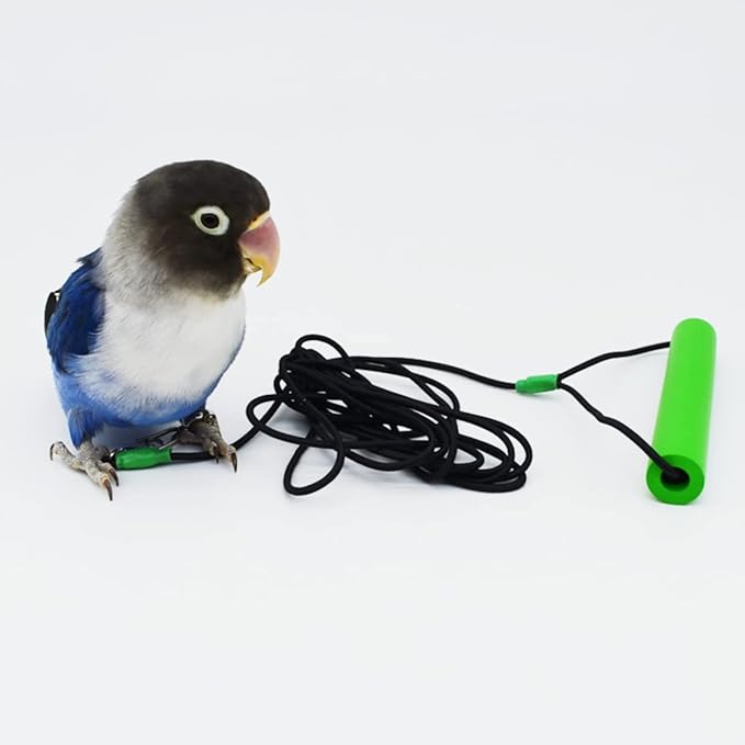 Bird Foot Chain with Flying Latex Elastic Training Rope Outdoor Parrot Ankle Foot Ring Accessories Bird Harness Leash Prevent Escaping (Model5-With 236inch Leash)