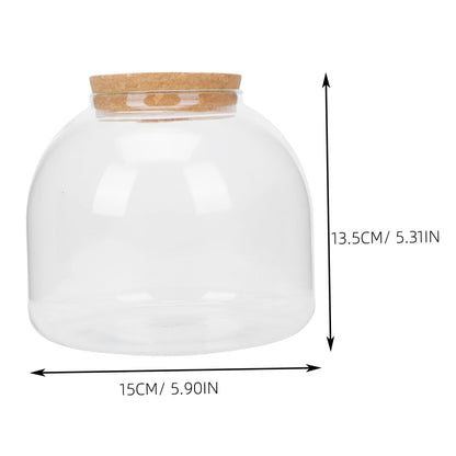 HYTROVE Micro Landscape Bottle Terrarium for Plants Creative DIY Desk Decor Simple Glass Ecological Bottle Lid for Indoor Gardening and Home Decoration