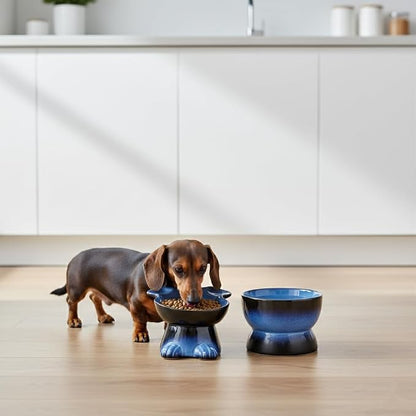 Nihow Dog Food & Water Bowls: Elevated Ceramic Bowls for Medium/Small Dog | Food Safe Raised Puppy Bowls - Vivid Blue Pet Bowl for Protecting Pet's Spine (Set of 2)