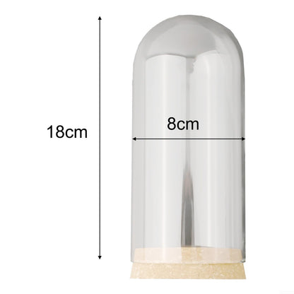 Glass Dome Cover With Wood Cork Base For Succulent Plant Flowers DIY Terrarium Vase Home Office Table Decors(8 * 18cm)