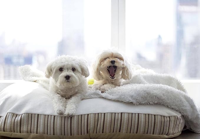 Essentia Kingston Luxury Organic Pet Bed - Large Dog